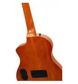 Ortega RTPG-LS1 Tour Player