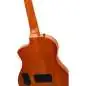 Ortega RTPG-LS1 Tour Player