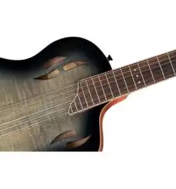 Ortega RTPG-LS1 Tour Player
