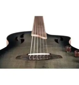 Ortega RTPG-LS1 Tour Player