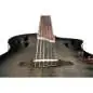 Ortega RTPG-LS1 Tour Player