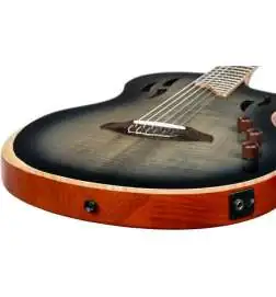 Ortega RTPG-LS1 Tour Player