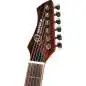 Ortega RTPG-LS1 Tour Player