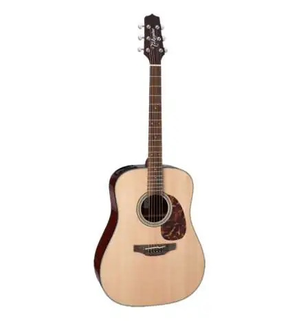 Takamine FT340BS