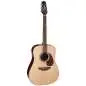 Takamine FT340BS