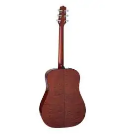 Takamine FT340BS