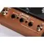 T-Rex Replicator D'Luxe Tape Echo