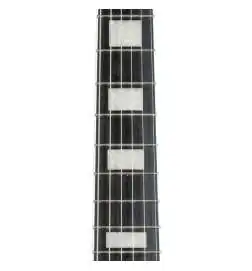Epiphone Les Paul Custom Figured Triburst