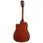 Epiphone J-45 Standard EC Honey Burst