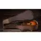 Taylor 214ce Special Edition Honeyburst