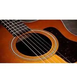 Taylor 214ce Special Edition Honeyburst