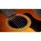 Taylor 214ce Special Edition Honeyburst