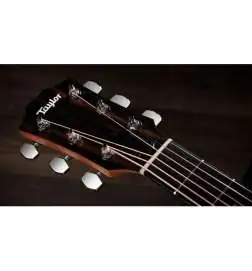 Taylor 214ce Special Edition Honeyburst