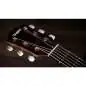 Taylor 214ce Special Edition Honeyburst