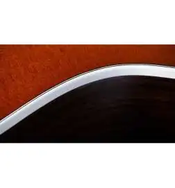 Taylor 214ce Special Edition Honeyburst
