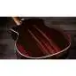 Taylor 214ce Special Edition Honeyburst