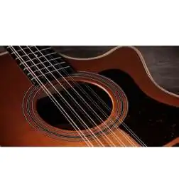 Taylor 354ce Studio Special Edition Honeyburst
