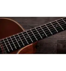 Taylor 354ce Studio Special Edition Honeyburst