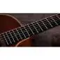 Taylor 354ce Studio Special Edition Honeyburst Taylor 354ce Studio Special Edition Honeyburst