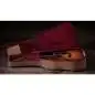 Taylor 414ce Studio Special Edition Honeyburst