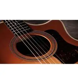 Taylor 414ce Studio Special Edition Honeyburst