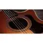 Taylor 414ce Studio Special Edition Honeyburst