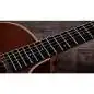 Taylor 414ce Studio Special Edition Honeyburst