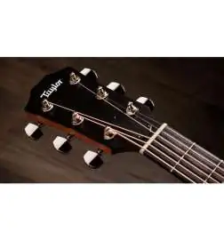 Taylor 414ce Studio Special Edition Honeyburst