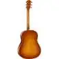 Taylor 217e Plus Special Edition Honeyburst