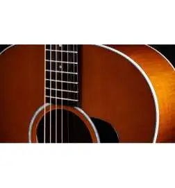Taylor 217e Plus Special Edition Honeyburst