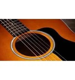 Taylor 217e Plus Special Edition Honeyburst