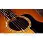 Taylor 217e Plus Special Edition Honeyburst