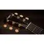 Taylor 217e Plus Special Edition Honeyburst