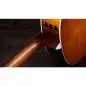 Taylor 217e Plus Special Edition Honeyburst