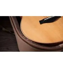 Taylor GS Mini-e LTD Figured Koa