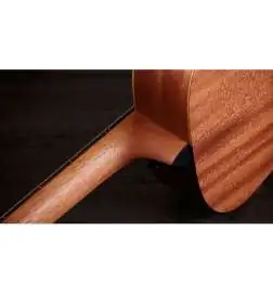 Taylor GS Mini-e Special Edition Honeyburst
