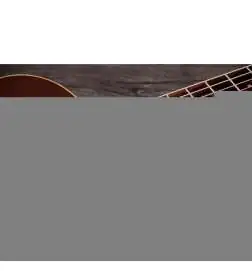 Taylor GS Mini-e Special Edition Honeyburst