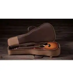Taylor GS Mini-e Special Edition Honeyburst