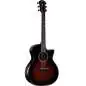 Taylor Builder's Edition 324ce Next Generation