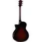 Taylor Builder's Edition 324ce Next Generation
