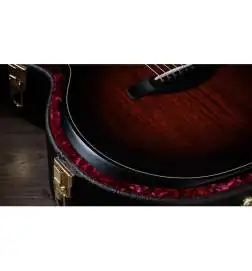 Taylor Builder s Edition 324ce Next Generation