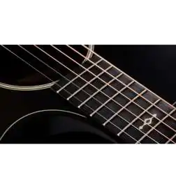 Taylor Builder s Edition 324ce Next Generation