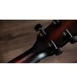 Taylor Builder s Edition 324ce Next Generation