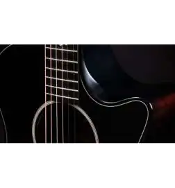 Taylor Builder s Edition 324ce Next Generation