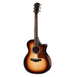 Taylor Builder s Edition 814ce Shaded Edgeburst Next Generation