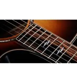 Taylor Builder s Edition 814ce Shaded Edgeburst Next Generation