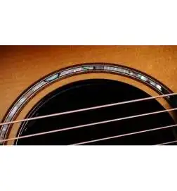 Taylor Builder s Edition 814ce Shaded Edgeburst Next Generation