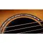 Taylor Builder's Edition 814ce Shaded Edgeburst Next Generation