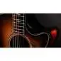 Taylor Builder's Edition 814ce Shaded Edgeburst Next Generation