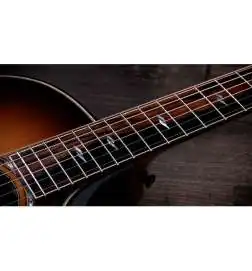 Taylor Builder s Edition 814ce Shaded Edgeburst Next Generation
